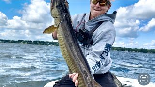 Muskies LOVE This Jerkbait  But No One Has It [upl. by Noe]