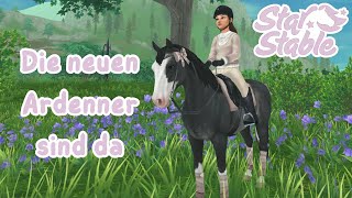 Ich kaufe die neuen Ardenner🌷 SSO  Ardenner Pferdekauf [upl. by Belicia]