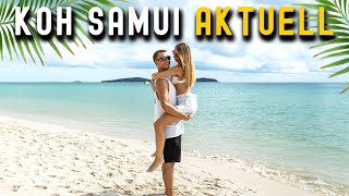 Aktuelle Lage KOH SAMUI Thailand • Februar 2024 • Chaweng Bophut amp Lamai  VLOG 616 [upl. by Zetniuq122]