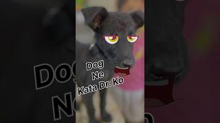 dog attack Dr viralvideo funny desidogchannel doglover peepalfarm comedy [upl. by Schweitzer]