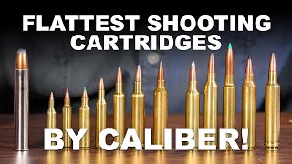 Flattest Shooting Cartridges by Caliber [upl. by Benildas]