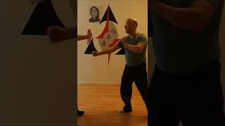 Short punch board breaking Martial Arts training [upl. by Helms990]