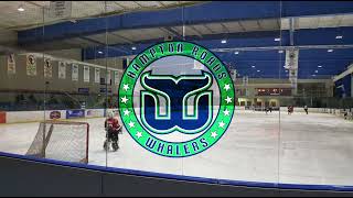 Hampton Roads Whalers Goal Horn 2324 [upl. by Lissi]