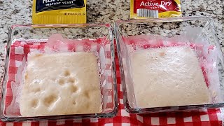 HOW TO TEST IF YEAST IS ALIVE  INSTANT YEAST VS ACTIVE DRY YEAST [upl. by Nerej]