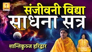 Sanjeevani Vidhya  संजीवनी विद्या साधना सत्र शांतिकुंज हरिद्वार [upl. by Manouch]