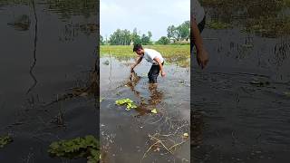 😮Oh what a wonderful fish shorts fishing fish fishingvideo viralvideo newfishing amazing [upl. by Nnawaj58]