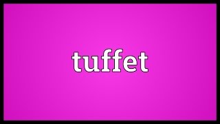 Tuffet Meaning [upl. by Newra]