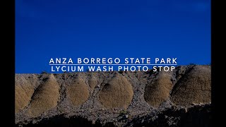 Anza Borrego Lycium Wash Photo Stop [upl. by Itsirc]