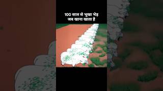 100 साल से भूखा भेड़ जब खाना खाता है 😂। Funny cartoon funny explanation memes [upl. by Yrekcaz]