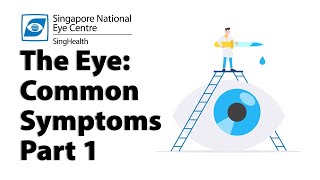 Common Eye Symptoms Part 1 Blurred Vision Cloudy Vision Halos and Glare [upl. by Nnylhsa287]