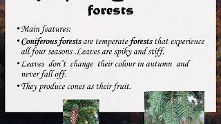 difference between coniferous and deciduous forests [upl. by Derfliw]