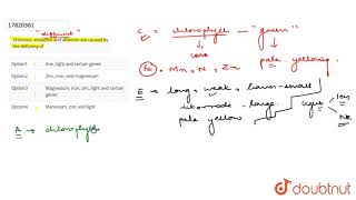 Chlorosis etiolation and albinism are caused by the deficieny of [upl. by Eirolav730]