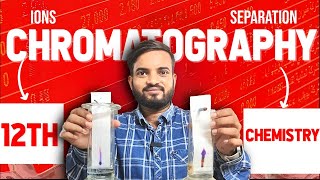 Paper Chromatography Separation Of Metal ions  12th Chemistry Practical a2zpractical991 [upl. by Sine382]