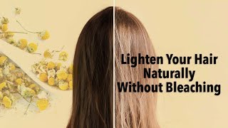 Lighten your hair naturally without bleaching miracle of camomile teaNZ HAIR LIGHTENING [upl. by Cornelle]