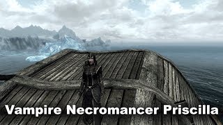 Skyrim  Vampire Necromancer Priscilla Background and Origin [upl. by Mccandless]