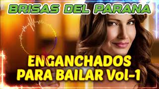 Brisas del parana  Enganchados para Bailar Vol1 [upl. by Khano]