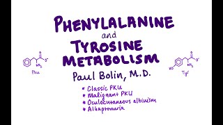 PhenylalanineTyrosine Metabolism and Disorders  CRASH Medical Review Series [upl. by Photima]