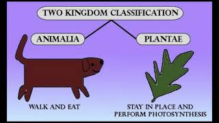 Prokaryotic and Eukaryotic Cell  Five Kingdom Classification System [upl. by Ventura]