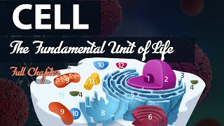 The Fundamental unit of life Full chapter Animation  Class 9 Biology  CH 5 NCERT [upl. by Rosenbaum]