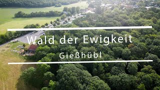 Wald der Ewigkeit  Gießhübl  Naturbestattung Zadrobilek [upl. by Anairol70]