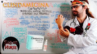 💊 Clindamicina quotDalacinquot Antibiótico Lincosamida [upl. by Vadim]