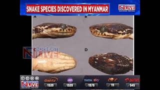 Mizoram professor research scholar among herpetologists who discovers new species of snake [upl. by Katie800]