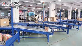 One DWS sorting line  Dynamic DWS amp 7shutts Sorter  DWS7 balance wheels 15 outlets [upl. by Storm376]