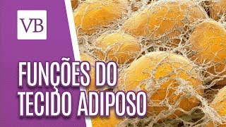 Funções do tecido adiposo  Você Bonita 141218 [upl. by Ardolino]