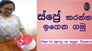 How to spray on sugar flowers [upl. by Ahseiym]