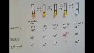 Decimale verdunningsreeks het maken van een werkschema [upl. by Sonitnatsok]