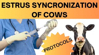 How Estrus Synchronization Can Supercharge Your Cattle Herd Uncover the Benefits Now [upl. by Oniliuqnart]