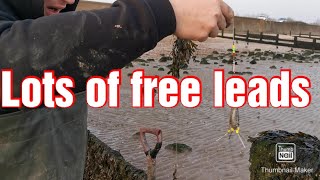 Digging ragworm  beach foraging  and finding FREE weights [upl. by Tennies]