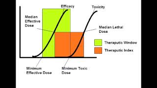 Therapeutic Index amp Therapeutic Window [upl. by Nauqet]