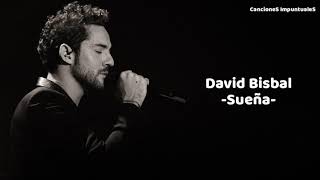 David Bisbal  Sueña letra Jorobado de Notre Dame [upl. by Ecneralc]