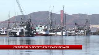 Dungeness crab season delayed [upl. by Monro446]