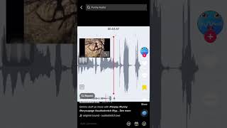 Squashed banana glitch meme credit to AudioStretcherExE on TikTok [upl. by Janiuszck531]