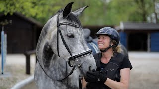 Rückschlag beim Pferdetraining  Das würden andere Trainer niemals zeigen [upl. by Burchett]