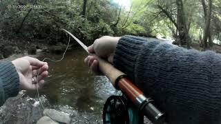 Wet and Dry Fly Fishing of an Afternoon browntroutfishing flyfishing cockerspaniel matchthehatch [upl. by Lane]