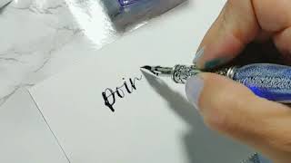 Daveliou Blue Calligraphy Pen Set Demo by Simply Alison [upl. by Lipp992]