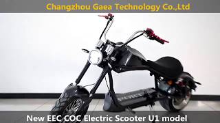 U1 model with 2000w 3000w Motor Citycoco EEC COC Approved Electric Scooter [upl. by Kati]