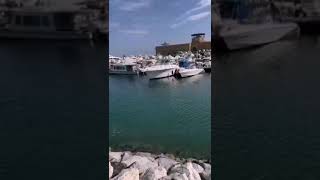 Fish 🐠 🇰🇼 Fahaheel Kuwait 📍 subscribe 👍 [upl. by Llewol487]