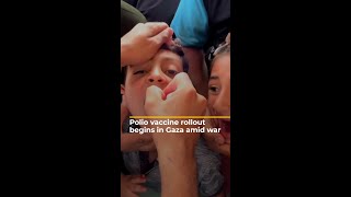 Polio vaccination campaign begins in Gaza  AJ shorts [upl. by Nrev]