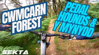 CWMCARN MTB Pedalhounds Y Mynydd amp Twrch [upl. by Ariew]