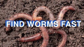 How To Find Worms For FishingQuick And Easy [upl. by Wolford852]