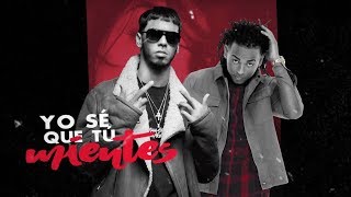 Ozuna FT Anuel AA  Bebe Lyric Video  Odisea [upl. by Kynthia]