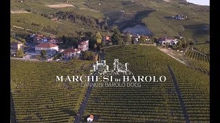 Behind the Wine Marchesi di Barolo Cannubi Barolo DOCG with Valentina Abbona [upl. by Assirahs]