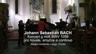 Bach violin concerto G minor BWV 1056  Verner Collegium [upl. by Zingale656]