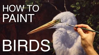 How To Paint Birds EPISODE THREE  The Egret and Brahminy Kites [upl. by Yruok]