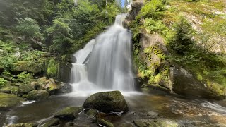 A day in Triberg  Waterfalls  Blackforest  Germany 4k [upl. by Adelle]