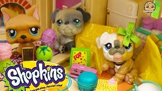 Shopkins Season 3 12 pack Unboxing at LPS Mommies House  Cookieswirlc [upl. by Rebm388]